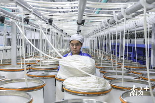 东莞援疆项目新进展 兵团草湖广东纺织服装产业园三期项目首条生产线试产