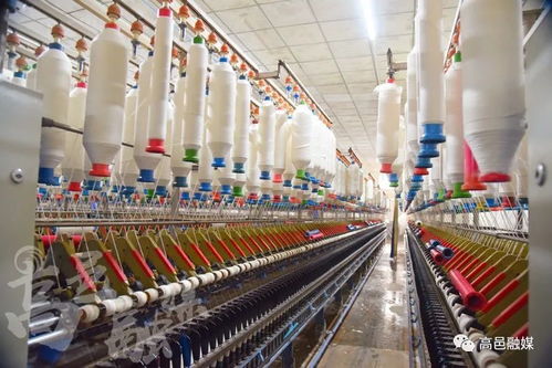 河北东城纺织 瞄准市场抓技改，助推县域经济发展